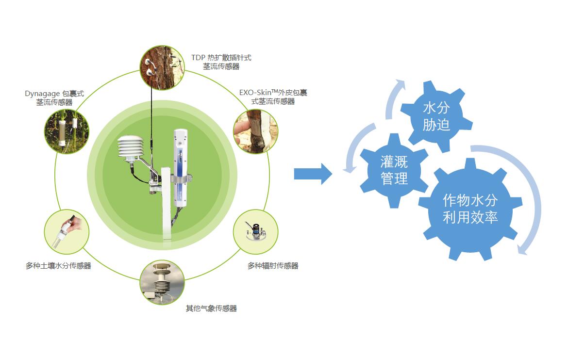 利用SapIP分布式植物生理生態(tài)監(jiān)測(cè)系統(tǒng)能做哪些研究？