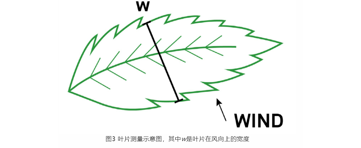 圖片.png